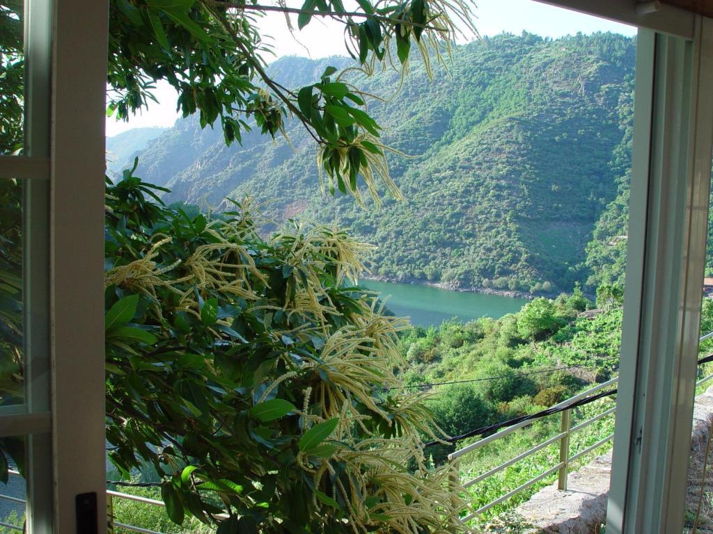 Olar De Rabacallos Bagian luar foto